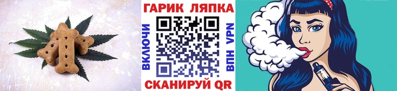 darknet наркотические препараты  Камышин  Canna-Cookies марихуана 