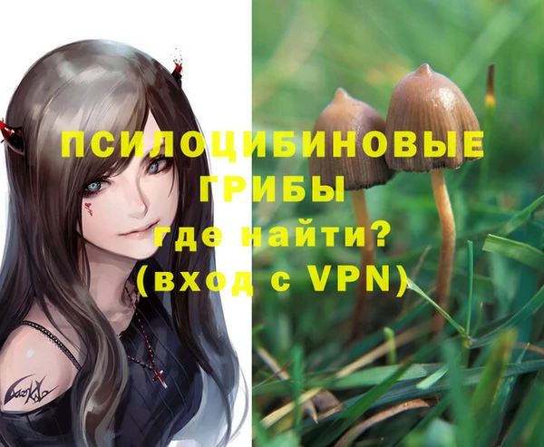 МДПВ Алексеевка